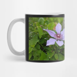 Lavender Flower 2 Mug